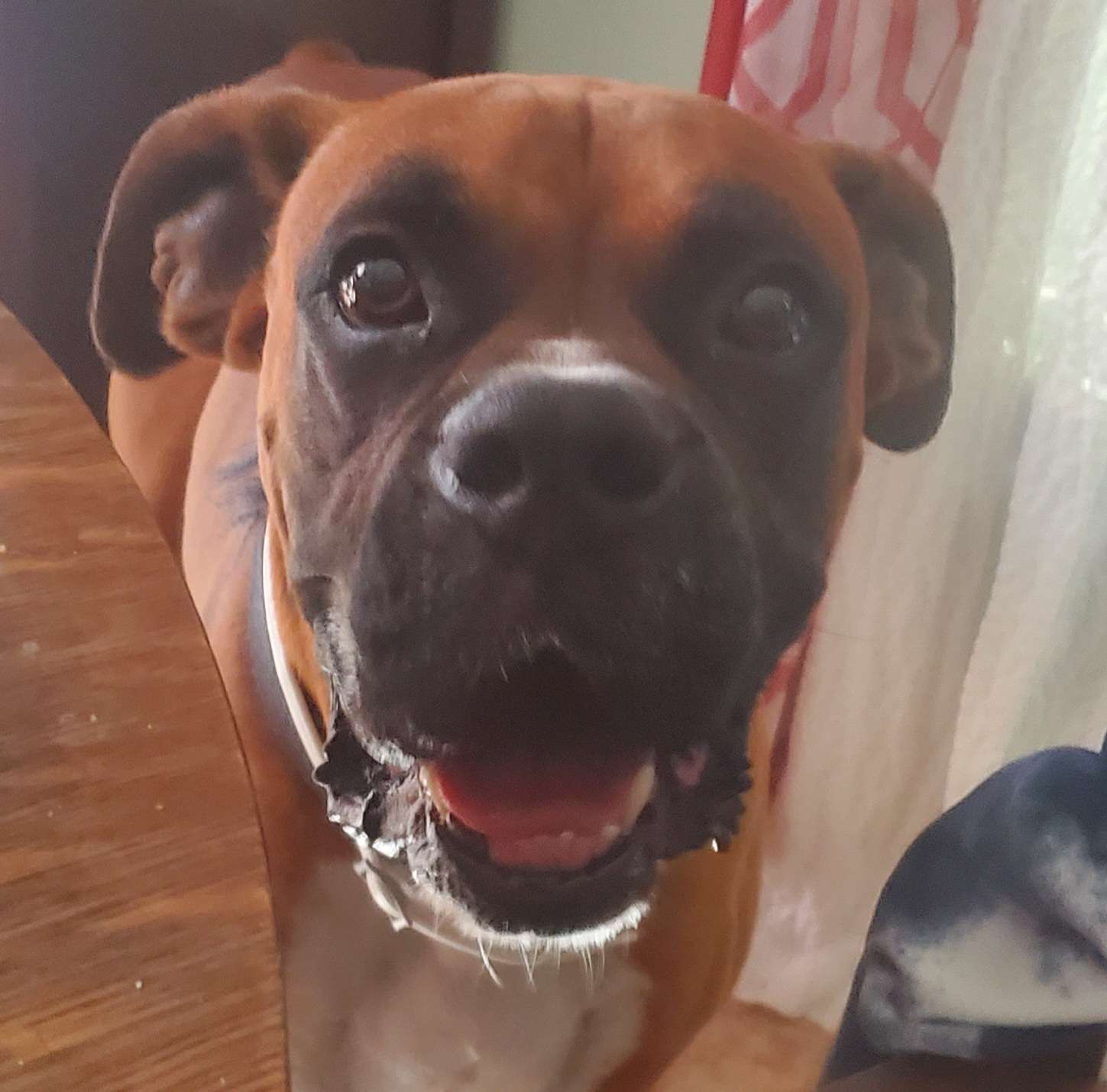 Cutest picture of Hunter ever